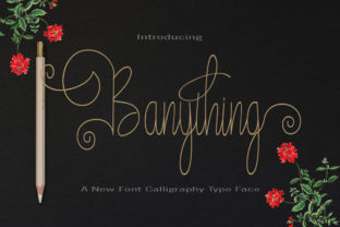 Banything: The Handwritten Font That Elevates Your Brand