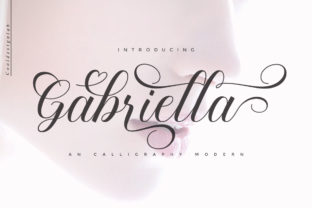 Boost Your Campaigns with Gabriella Script