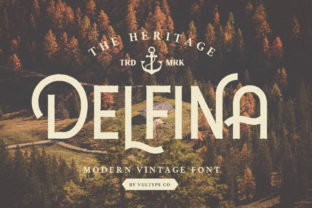 Delfina: A Retro Sans Serif Font That Brings Personality to Every Design