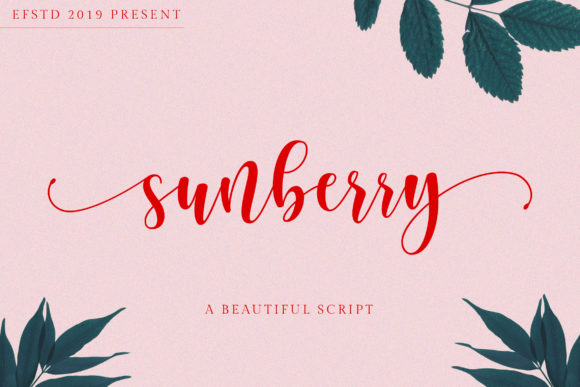 Font Review: Sunberry for Creative Campaigns and Branding