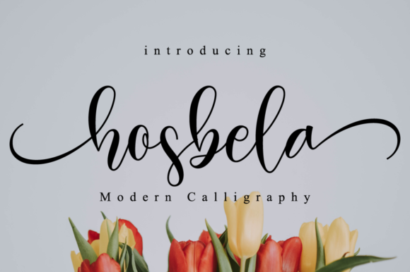 Hosbela Script: A Font That Elevates Your Brand’s Visual Story