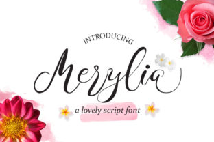 Merylia: A Script Handwritten Font That Breathes Life into Your Creations