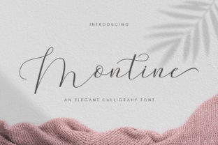 Montine Script: The Perfect Font for Creative Digital Campaigns