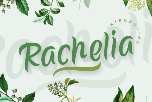 Rachelia: A Versatile Script Handwritten Font for Designers